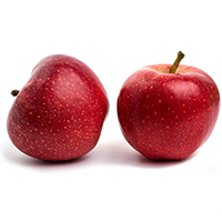Fruit